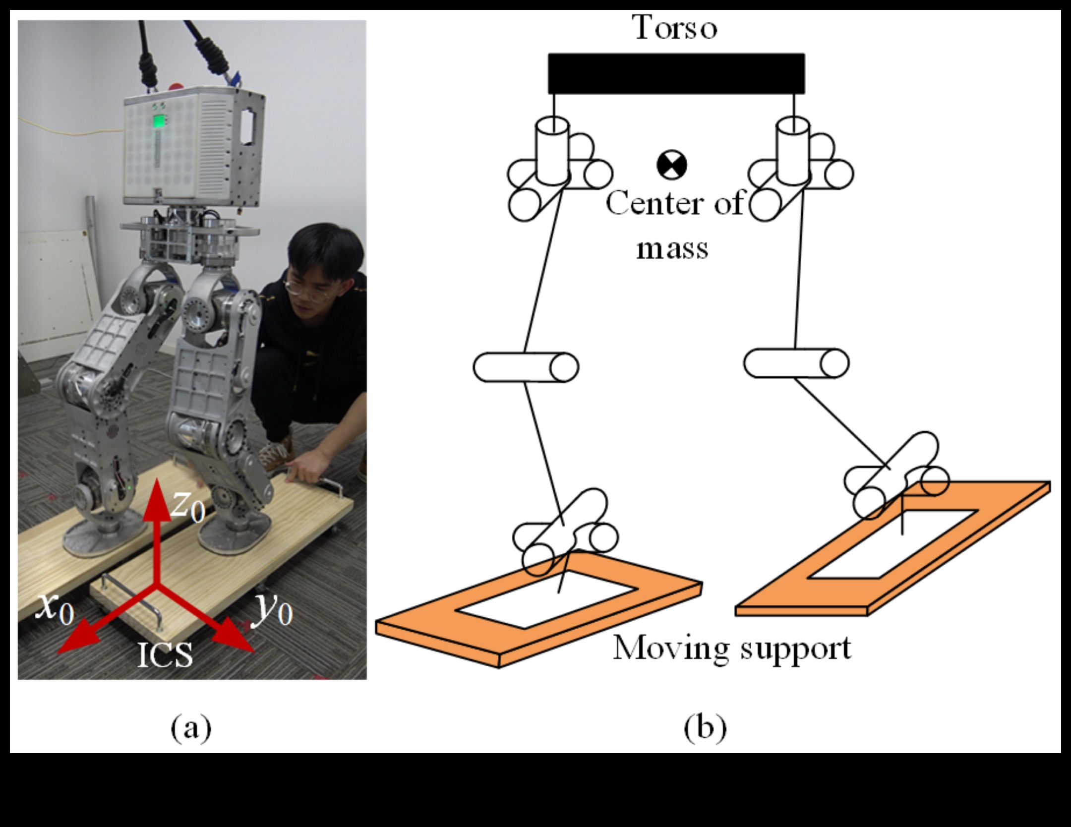 Robotic Harmony: Balancing Form and Function in Automated Solutions