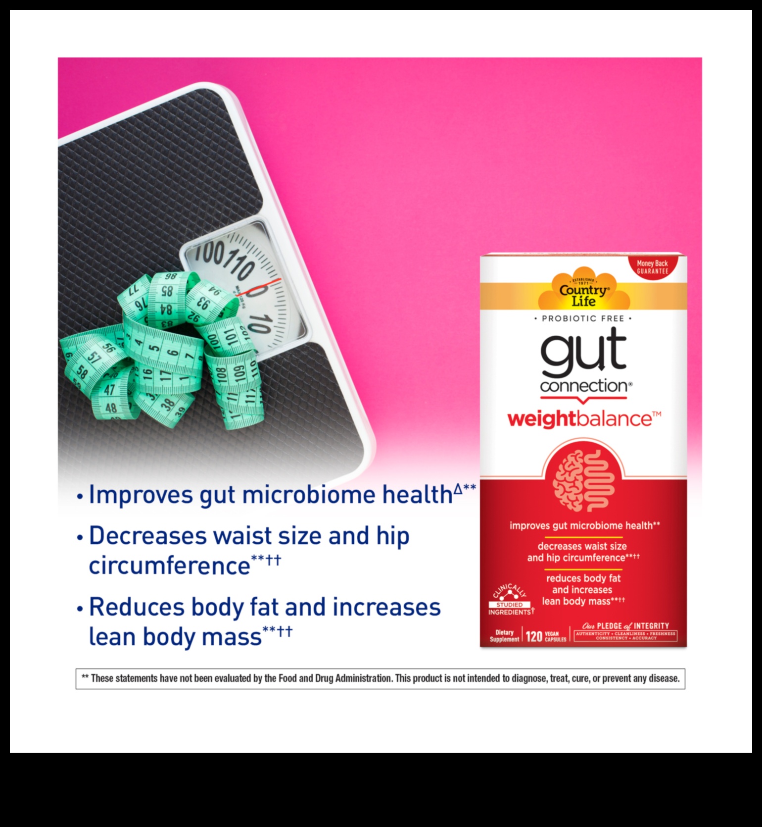 Η επίδραση της υγείας του εντέρου στις δίαιτες αύξησης βάρους