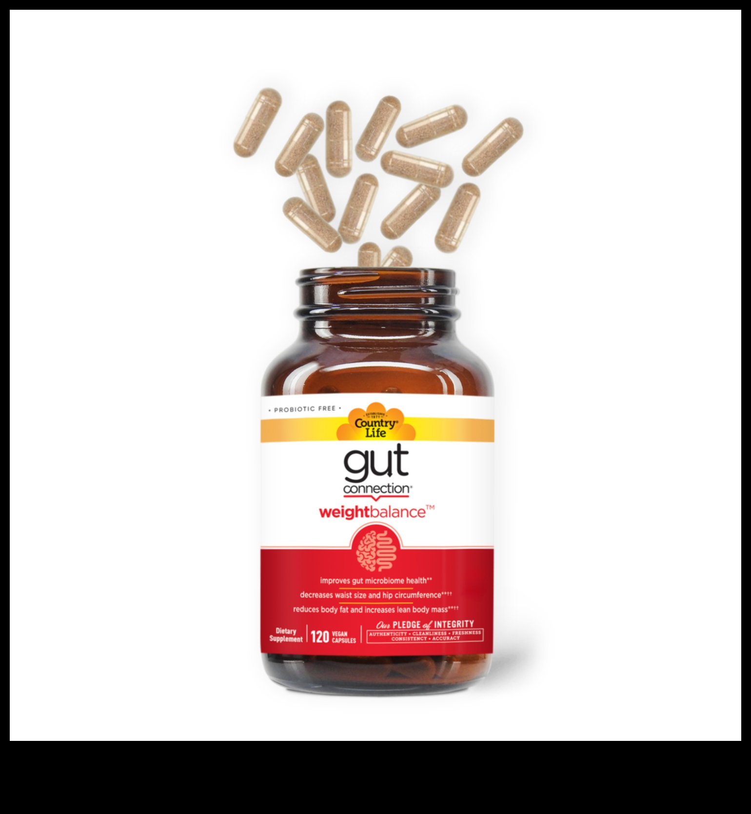 Η επίδραση της υγείας του εντέρου στις δίαιτες αύξησης βάρους