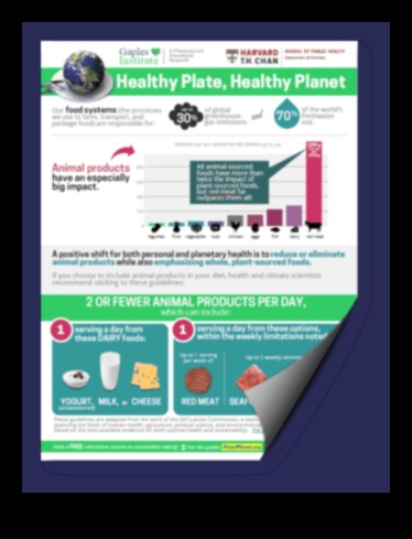 Βραχυπρόθεσμες δίαιτες και βιωσιμότητα: Μια ολιστική προοπτική