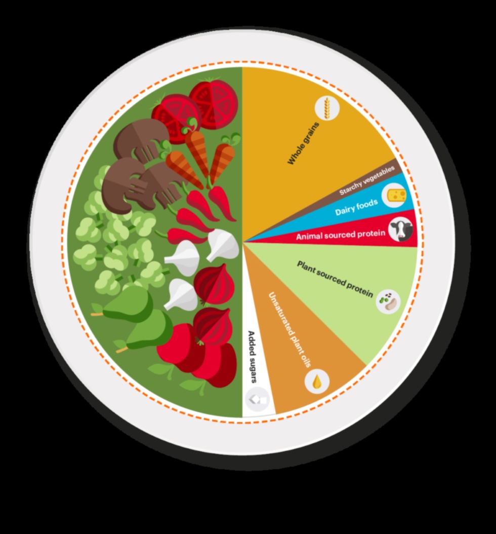 Βραχυπρόθεσμες δίαιτες και βιωσιμότητα: Μια ολιστική προοπτική