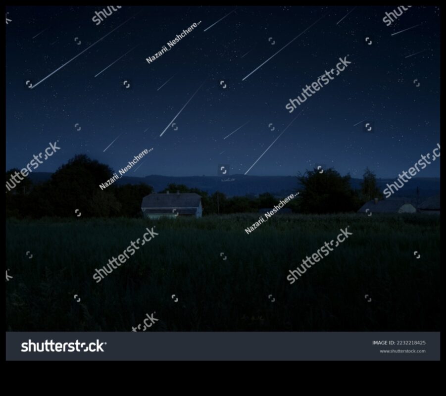 Stellar Traces: The Mark of Meteoroids Across the Celestial Canvas