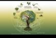 The Sustainable Symphony: Harmonizing Ethical Vision and Technical Precision