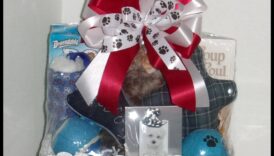 Paws and Play: Ιδέες για δώρα με θέμα τον σκύλο