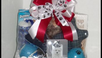 Paws and Play: Ιδέες για δώρα με θέμα τον σκύλο