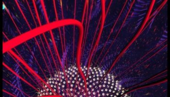 Creative Coding in Quantum: The Language of Visual Artisty in Computational Exploration