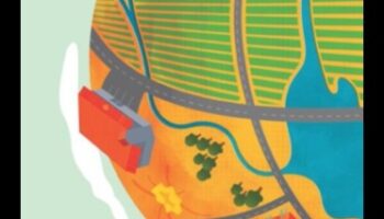 Βραχυπρόθεσμες δίαιτες και βιωσιμότητα: Μια ολιστική προοπτική